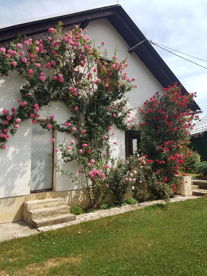 Apartman Ivano Gospić Exterior foto